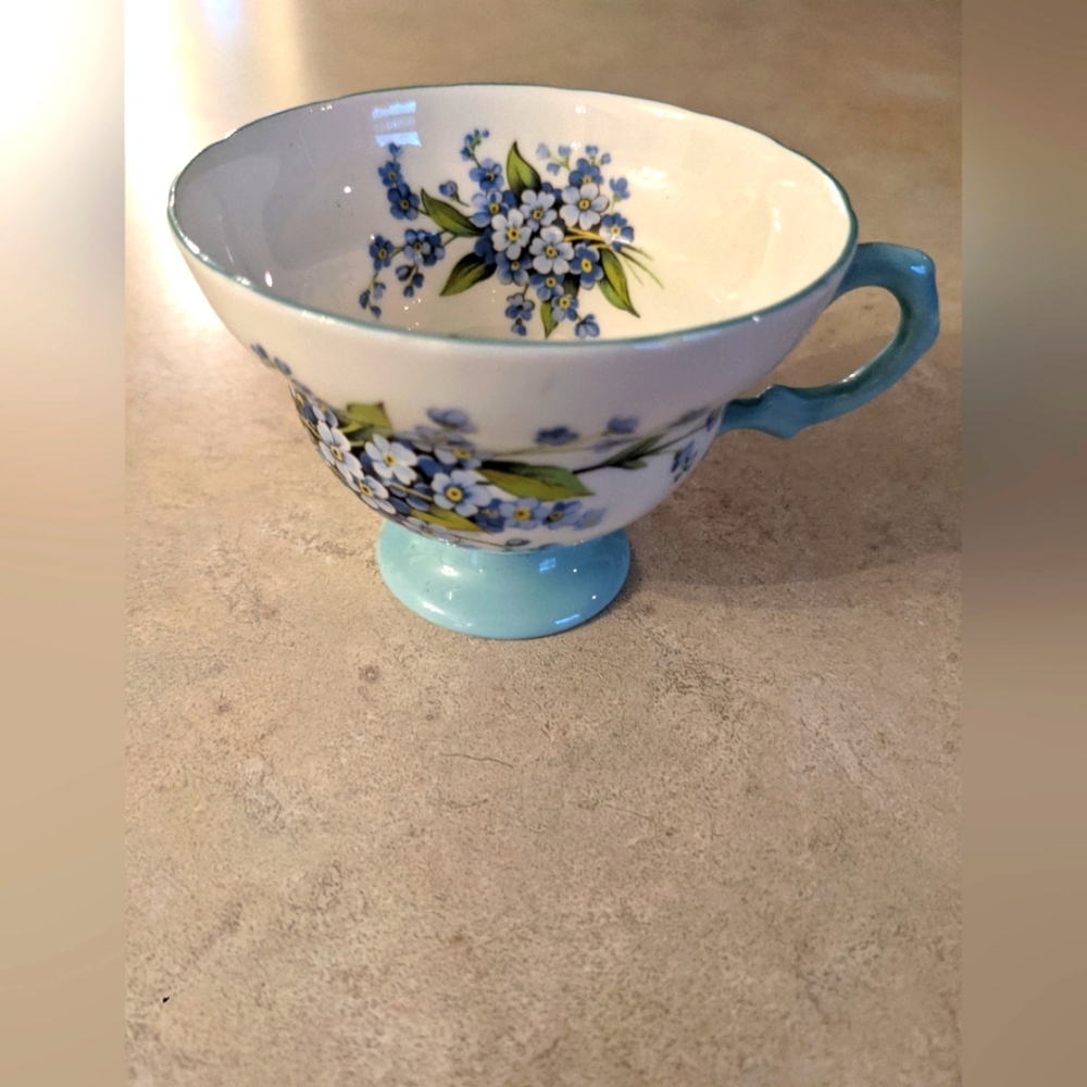 forget me not ROSINA made in England Bone China Tea cup
